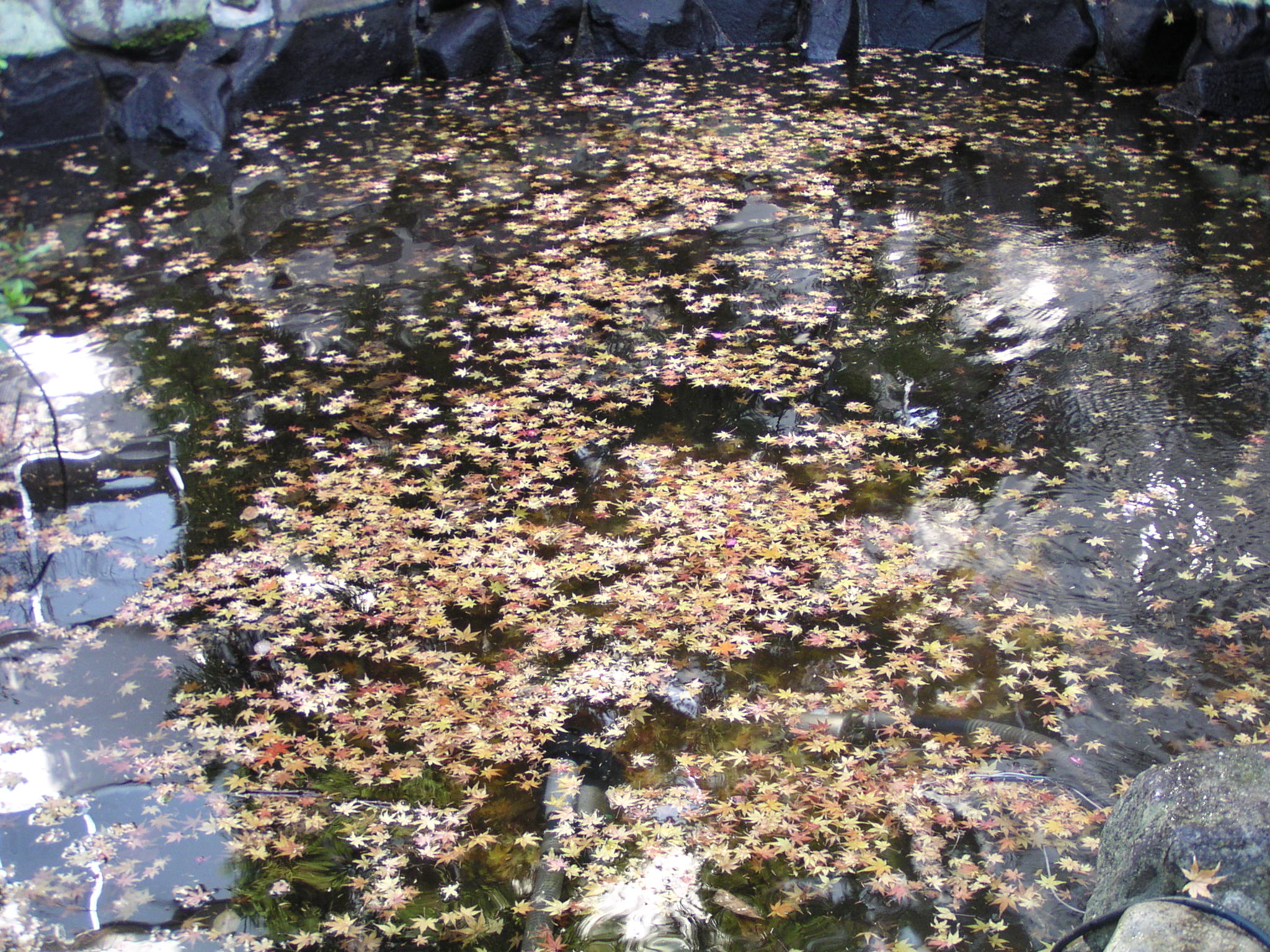 Before image