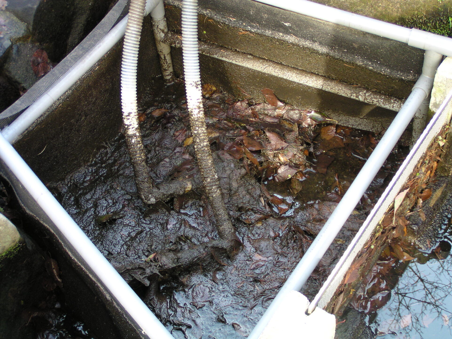Before image