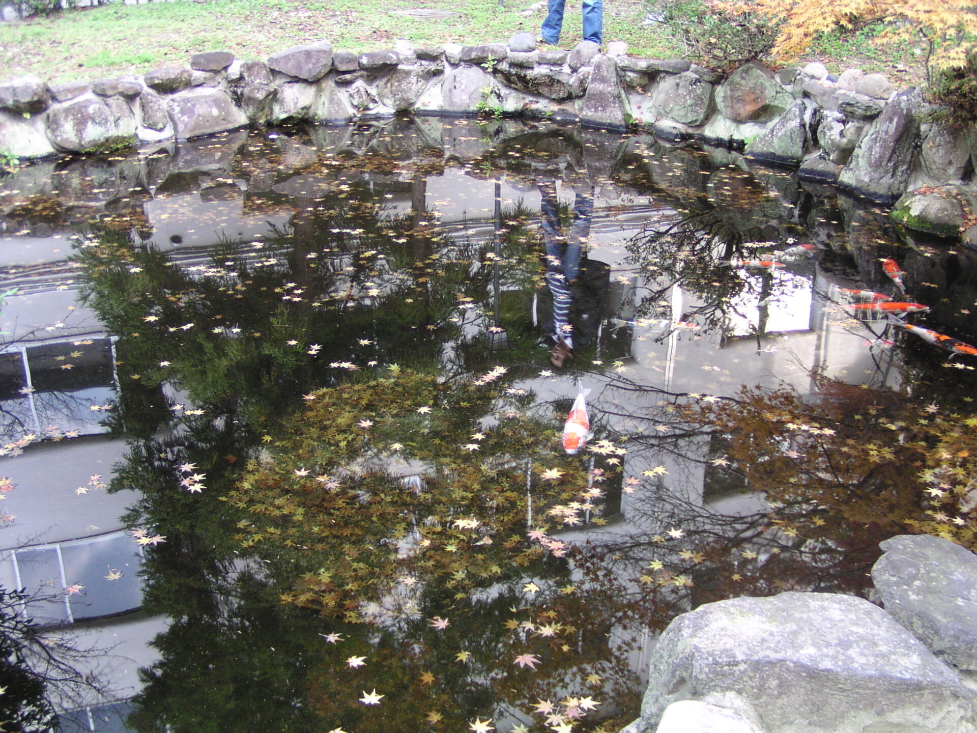 Before image