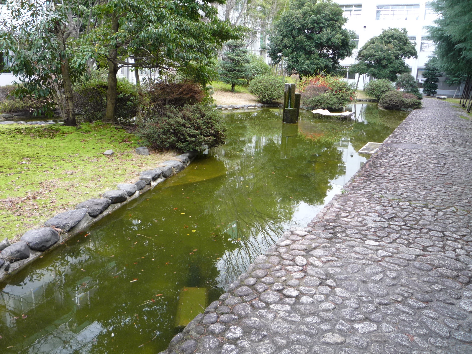 Before image
