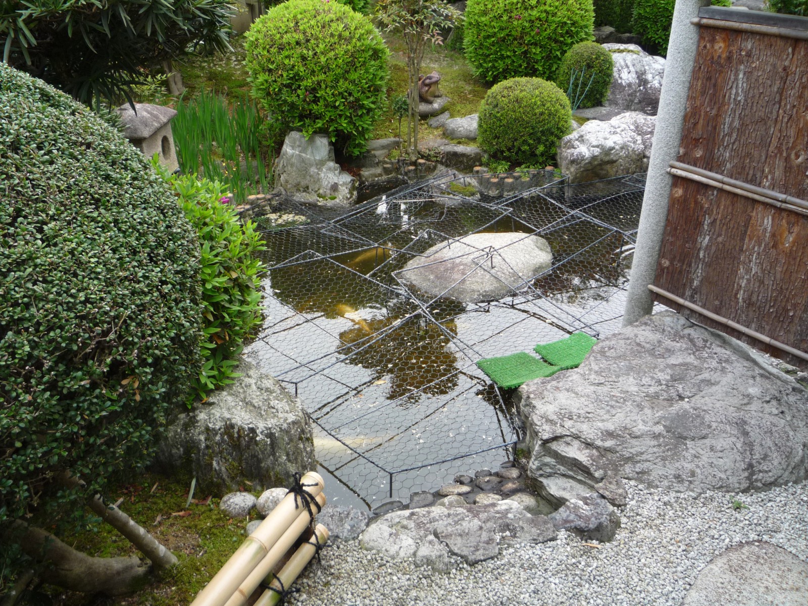 Before image