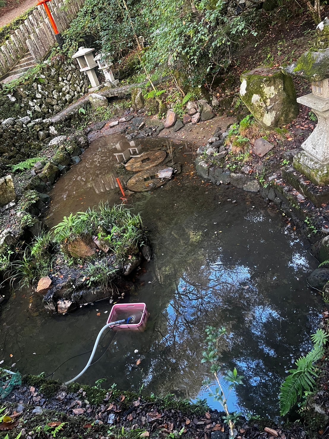 Before image